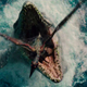Illustration for article titled Jurassic World Is All Park And No Bite